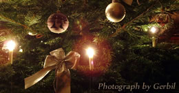 Describe the photo or the page it links to