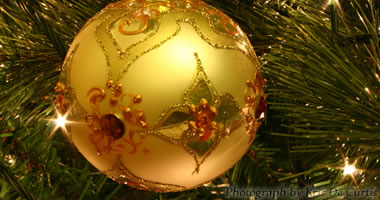 Describe the photo or the page it links to